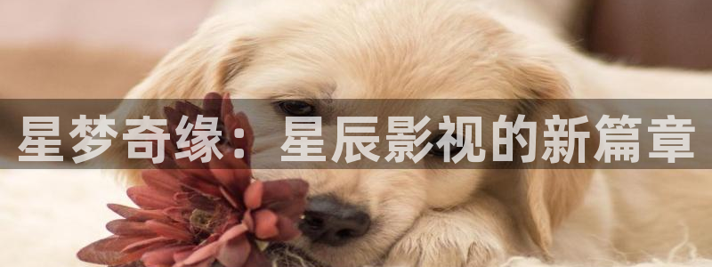 天堂 电影